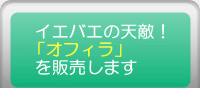 �V�G�o�G�u�I�t�B���v��̔�