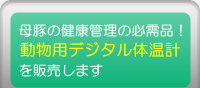 �����p�f�W�^���̉��v��̔�